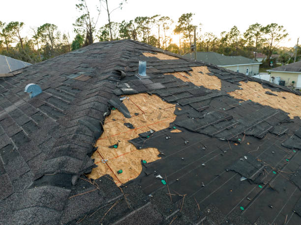 Best Roof Insulation Installation  in Clayton, AL