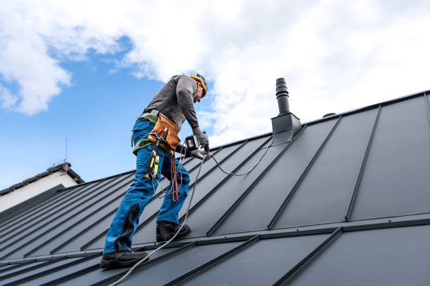 Best Metal Roofing Installation  in Clayton, AL